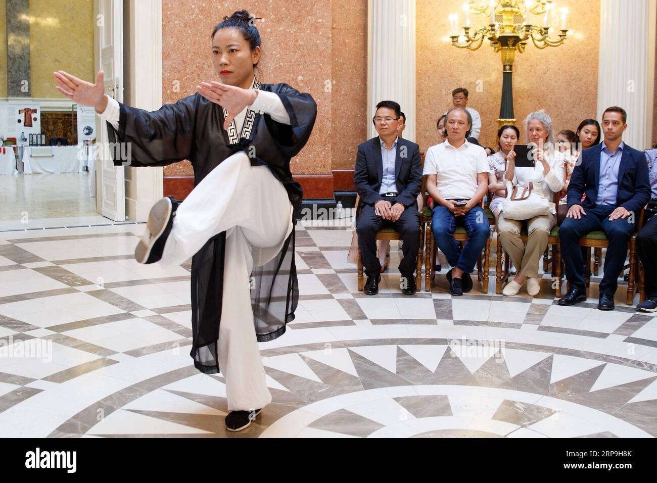 (190407) -- PECHINO, 7 aprile 2019 -- Una donna esegue Wudang Tai chi durante una mostra culturale al Museo Nazionale ungherese di Budapest, in Ungheria, 5 luglio 2018. ) Xinhua titoli: Da Bruxelles ai Balcani, il Premier cinese visita l'Europa per legami più stretti SzilardxVoros PUBLICATIONxNOTxINxCHN Foto Stock