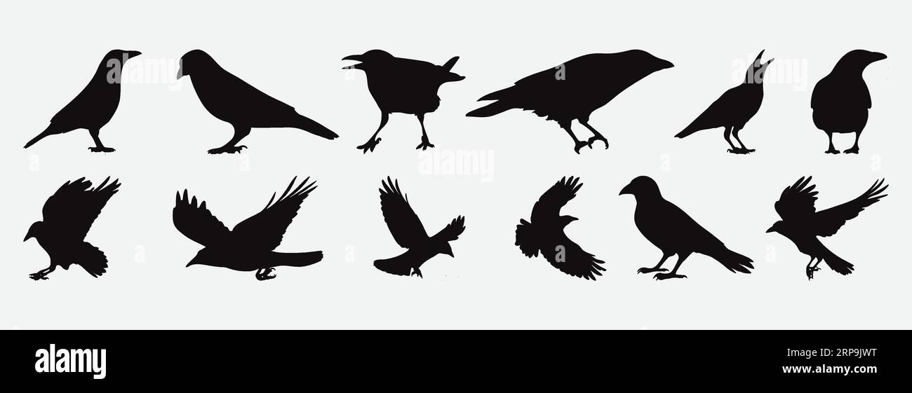 Un'accattivante collezione di silhouette artistiche a corvo e ombre aviarie dettagliate per i tuoi progetti creativi Illustrazione Vettoriale