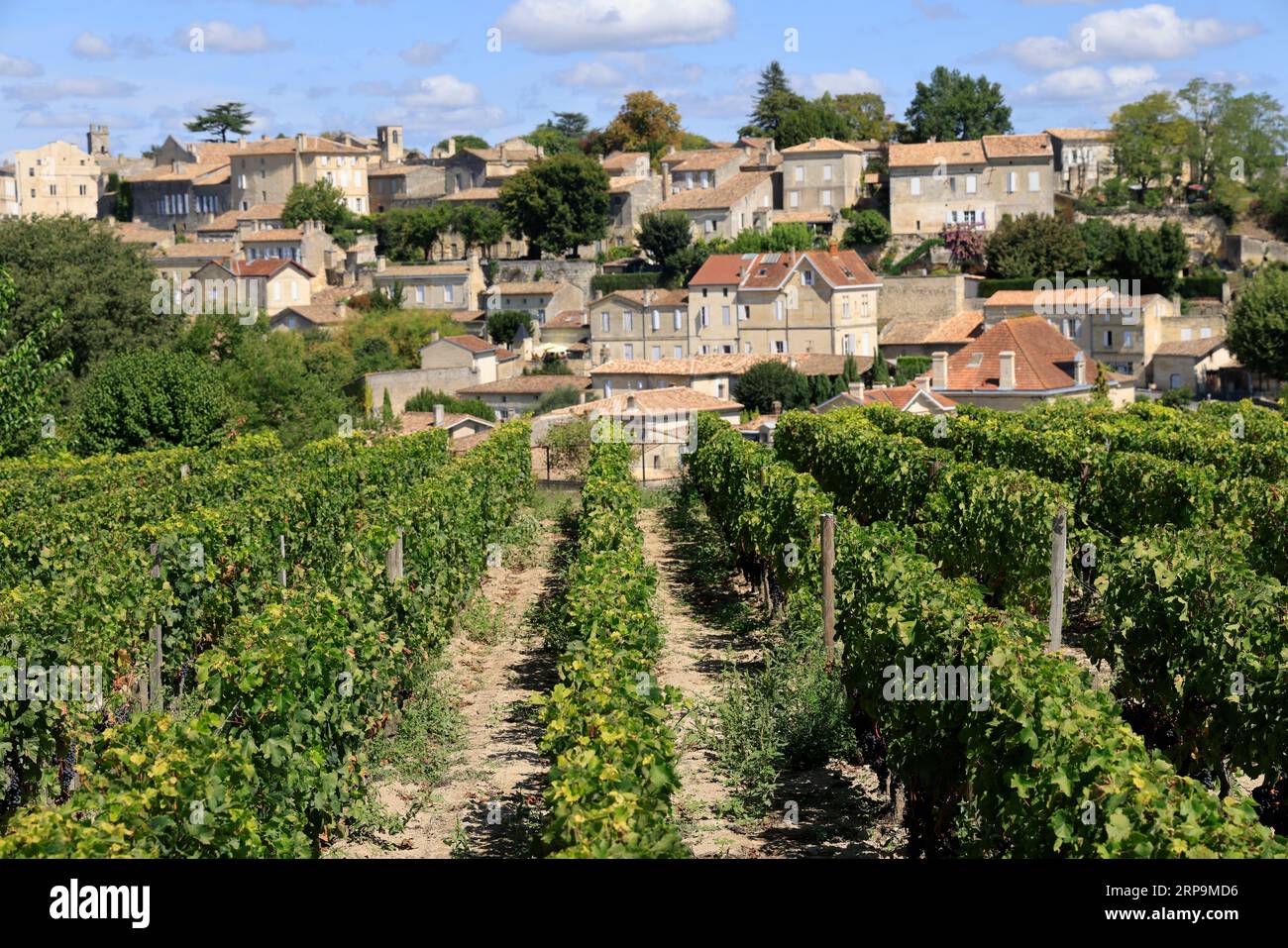 Vigne, vignoble et Village de Saint-Émilion. Château Ausone domaine viticole de Saint-Émilion classé « Premier Grand Cru », 1er Grand cru classé. Prod Foto Stock