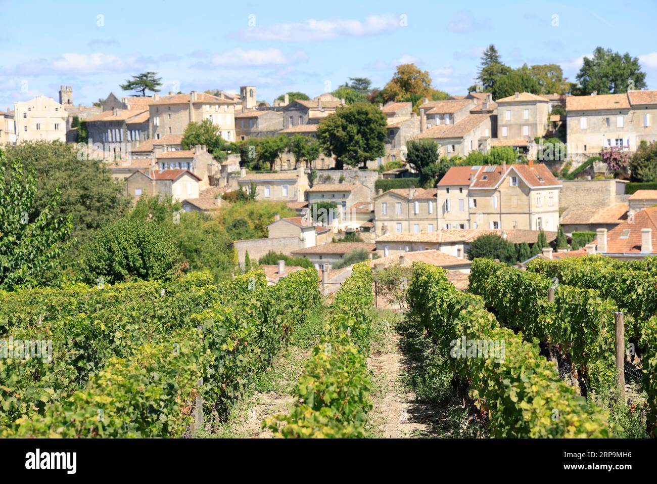 Vigne, vignoble et Village de Saint-Émilion. Château Ausone domaine viticole de Saint-Émilion classé « Premier Grand Cru », 1er Grand cru classé. Prod Foto Stock