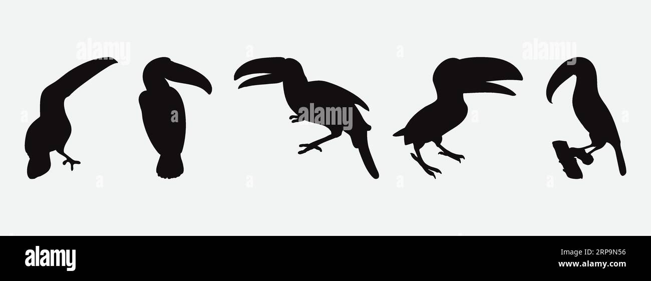 Maestose silhouette Hornbills, Una serie di squisite icone e illustrazioni per uccelli Illustrazione Vettoriale