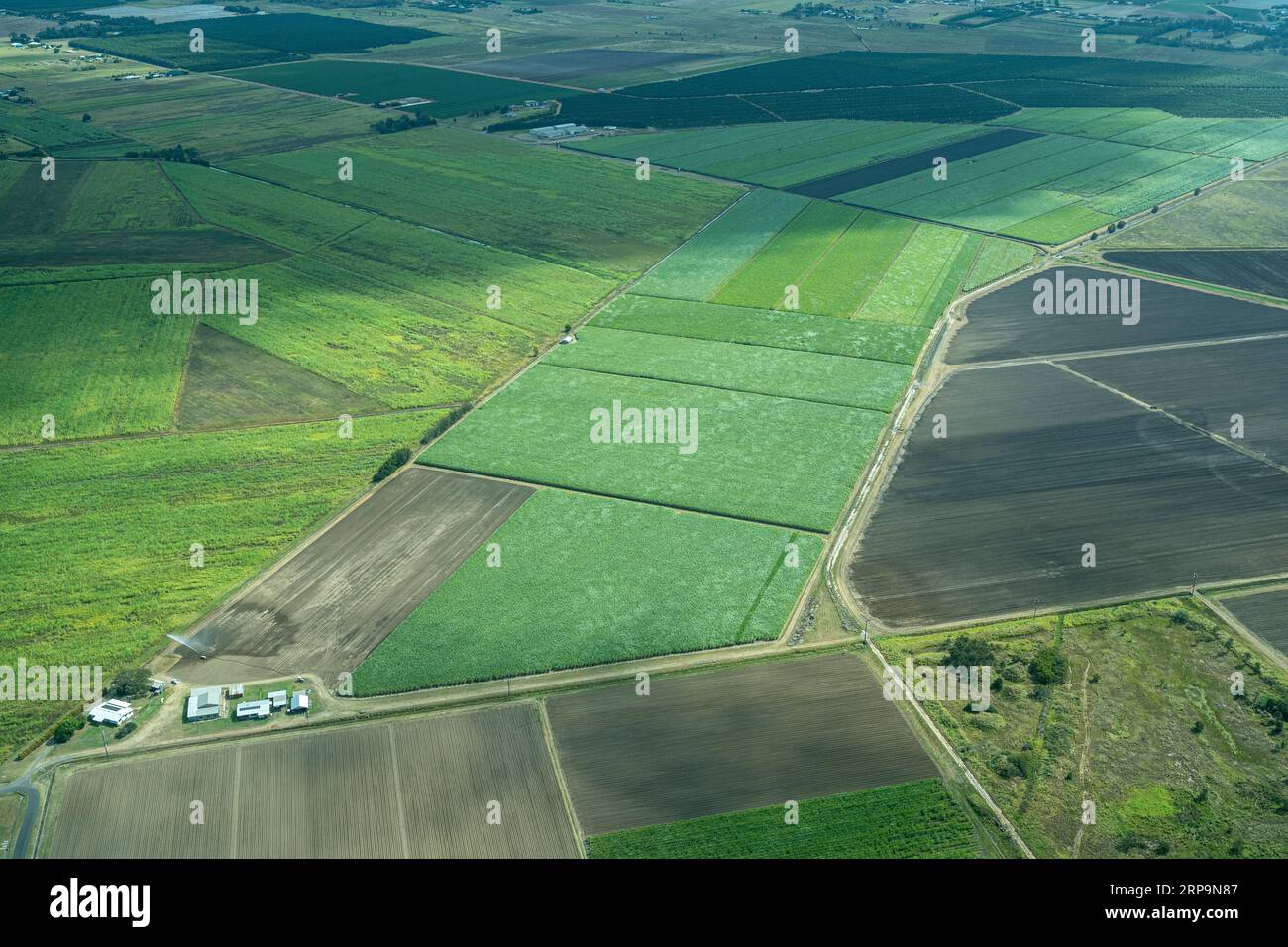 Vista aerea delle piantagioni di canna da zucchero nella regione di Burnett vicino a Bundaberg, Queensland Australia Foto Stock