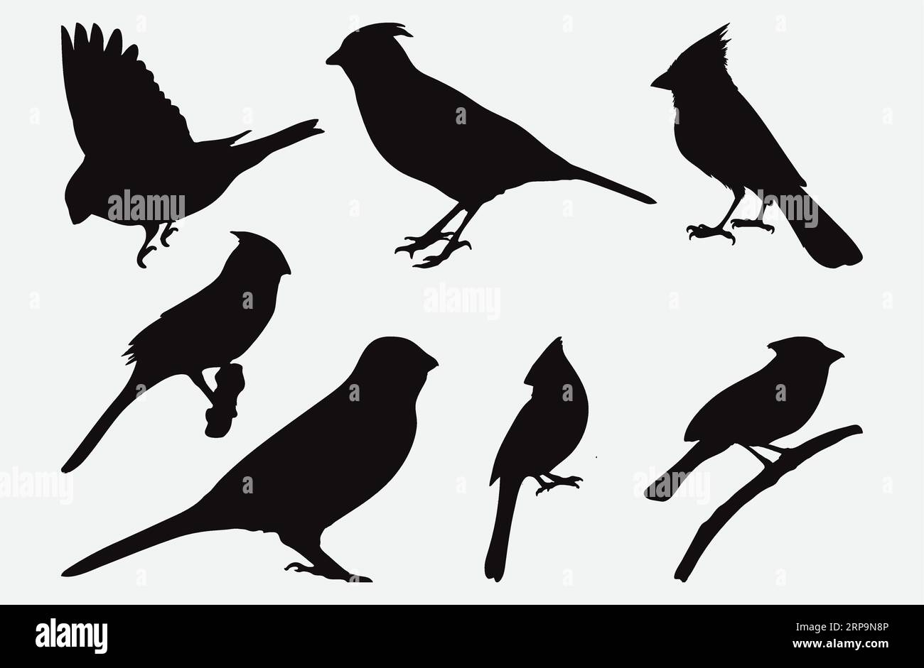 Graziosa collezione Northern Cardinal silhouette, uccelli in varie pose e stili Illustrazione Vettoriale