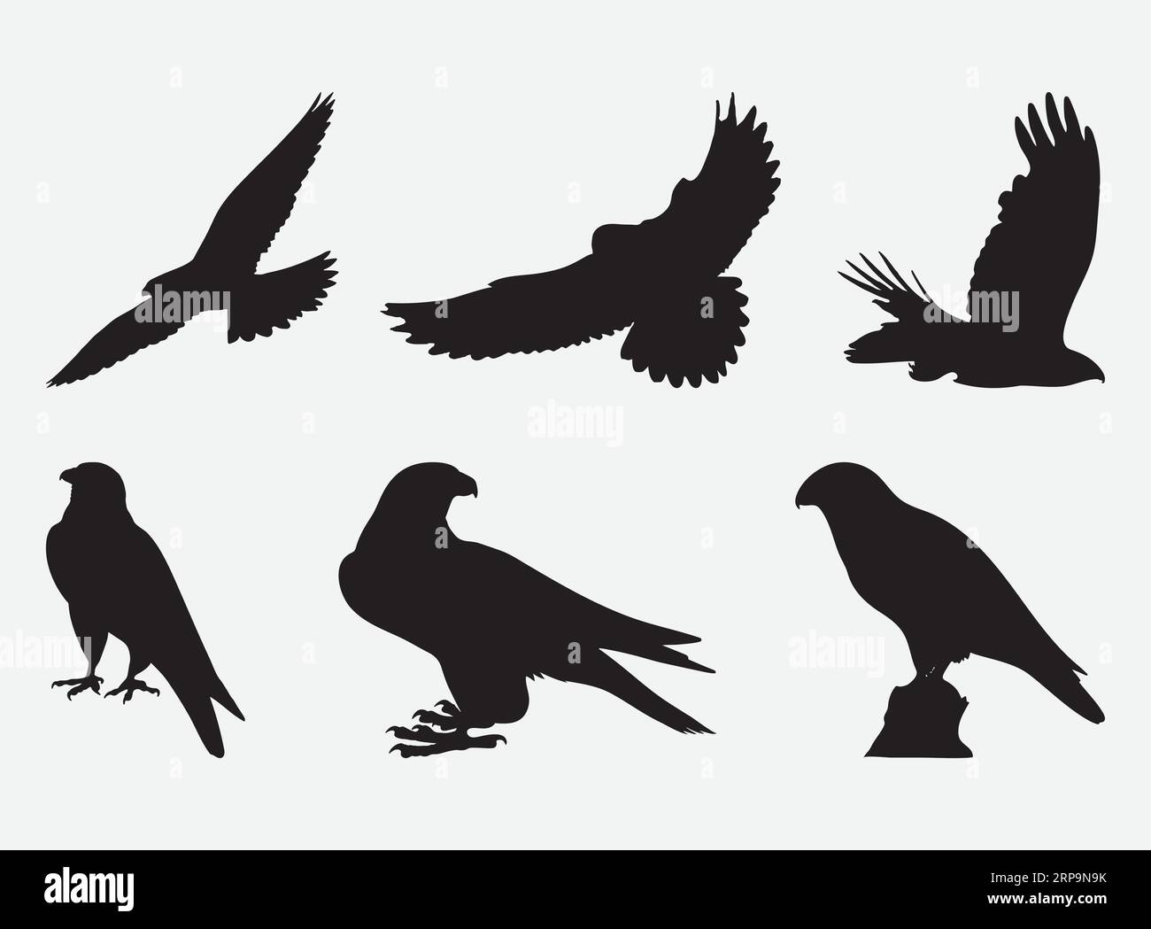 Eleganti silhouette Falcon, maestosi Birds of Prey in Artful Shadows - Set vettoriale Illustrazione Vettoriale