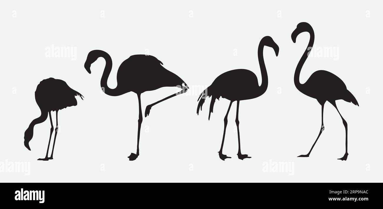 Elegance in Motion, Una collezione completa di silhouette Flamingo Illustrazione Vettoriale