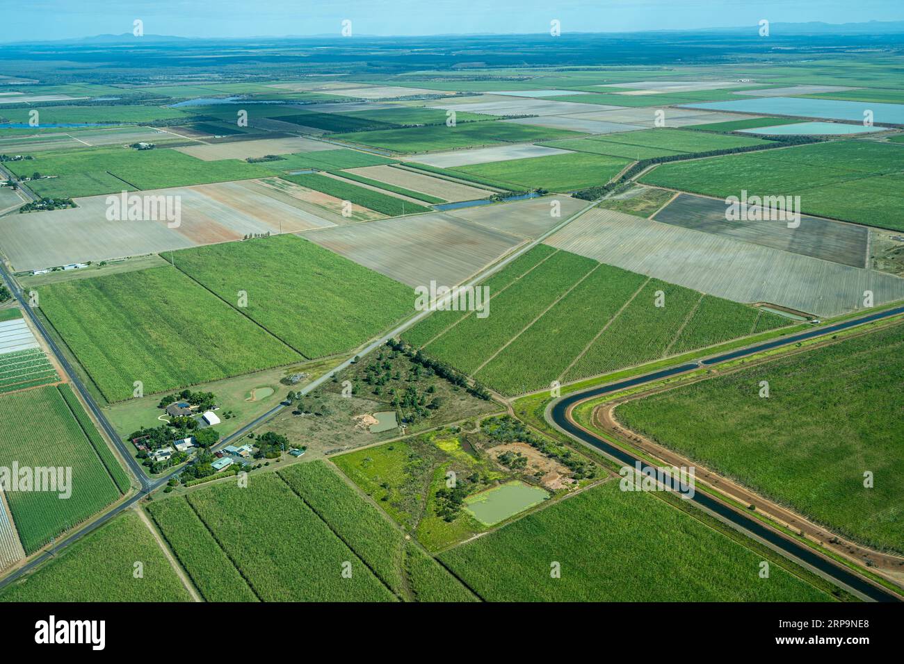 Vista aerea delle piantagioni di canna da zucchero nella regione di Burnett vicino a Bundaberg, Queensland Australia Foto Stock