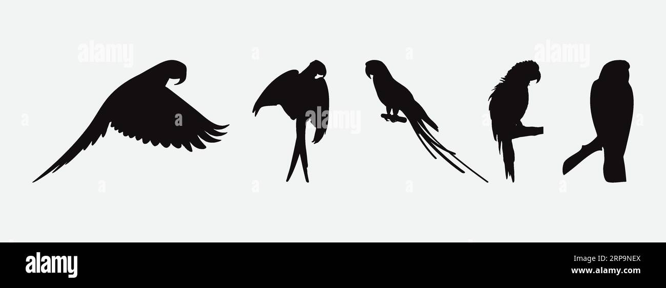 Maestose silhouette Macaw, Un'accattivante collezione di ombre esotiche per uccelli per i tuoi progetti di design Illustrazione Vettoriale