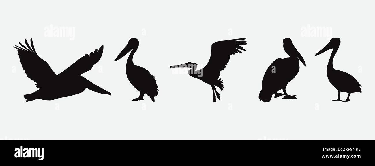 Eleganti silhouette di Majestic Pelicans, Un set di squisite silhouette Bird Illustrazione Vettoriale
