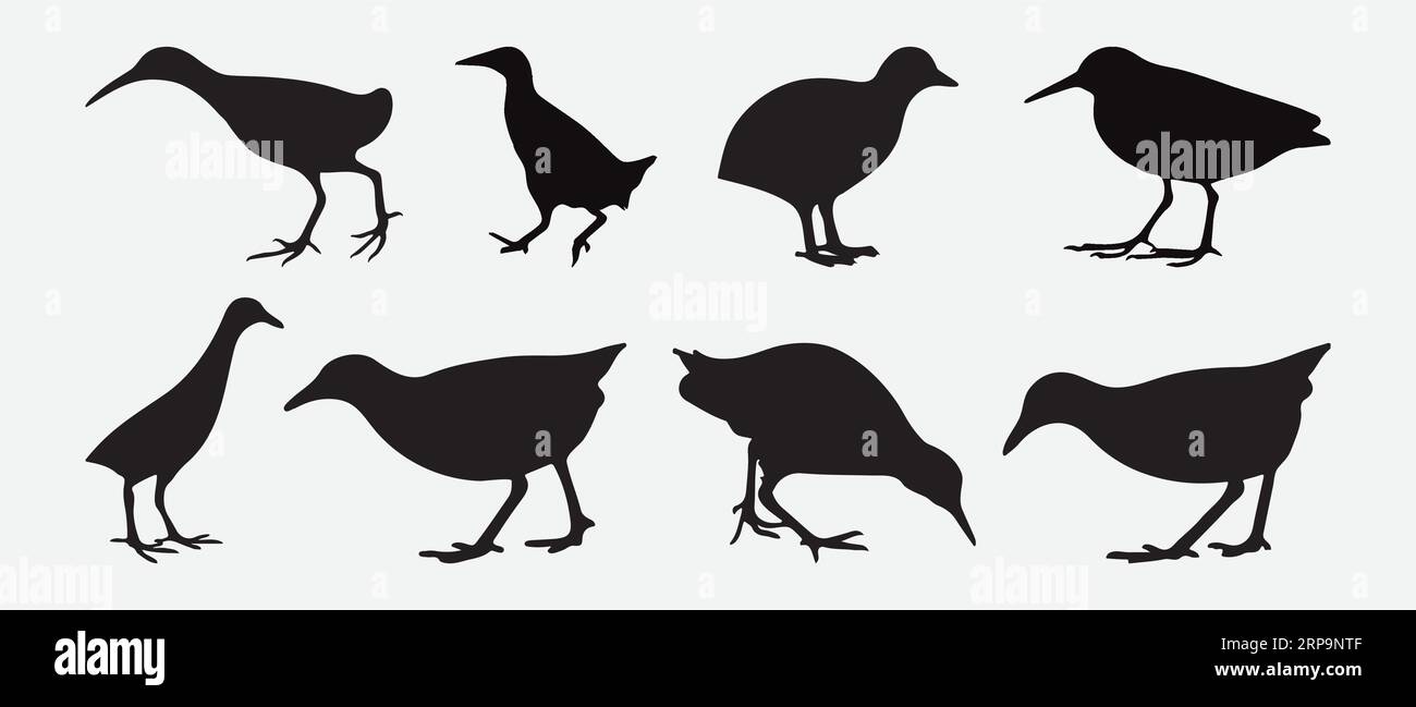 Eleganti silhouette Railbird, Una collezione completa di eleganti pose e forme aviarie per i tuoi progetti creativi Illustrazione Vettoriale