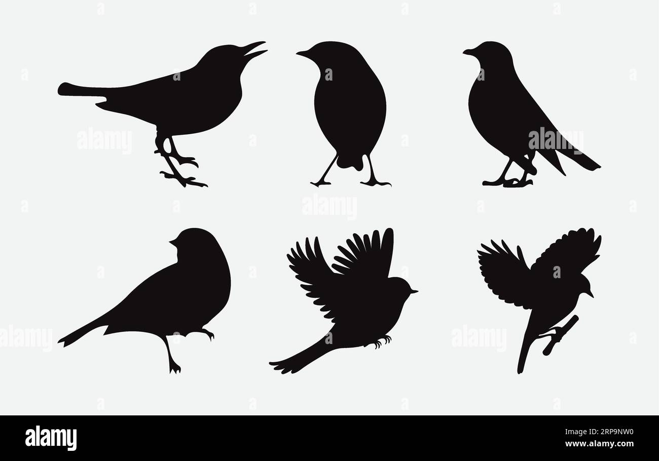 Squisita collezione di silhouette artistiche Robin Bird, Rendering aviari dettagliati e diversificati per i tuoi progetti creativi Illustrazione Vettoriale