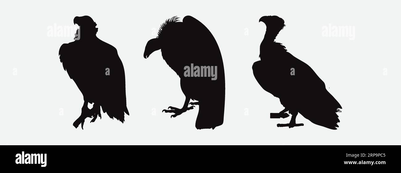 Maestose sagome di avvoltoi in varie pose , Una splendida collezione di predatori aviani in volo e riposo Illustrazione Vettoriale
