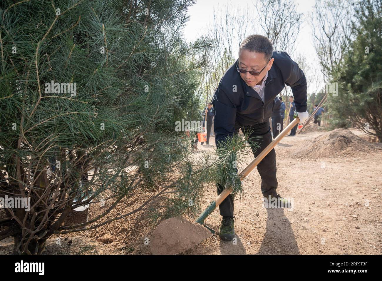 (190416) -- PECHINO, 16 aprile 2019 -- Zheng Jianbang, vicepresidente del Comitato nazionale della Conferenza consultiva politica del popolo cinese (CPPCC), partecipa a un evento di piantagione di alberi nel Parco forestale nazionale di Xishan nel distretto di Haidian a Pechino, capitale della Cina, 16 aprile 2019. Vicepresidenti del comitato nazionale del CPPCC, Liu Qibao, Lu Zhangong, Xia Baolong, Yang Chuantang, Zheng Jianbang, GU Shengzu, He Wei, Shao Hong e Gao Yunlong, martedì ha partecipato all'evento di piantagione di alberi a Pechino. Sono stati raggiunti da quasi 300 membri dello staff degli organi di lavoro di Foto Stock