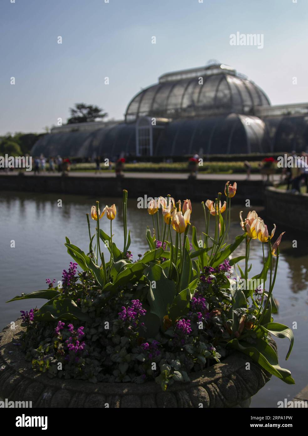 (190422) -- LONDRA, 22 aprile 2019 (Xinhua) -- foto scattata il 14 aprile 2019 mostra la Palm House dei Kew Gardens a Londra, capitale della Gran Bretagna. La storia dei Kew Gardens può essere fatta risalire al XVIII secolo. Nel 2003, i Kew Gardens sono stati ufficialmente iscritti come patrimonio dell'umanità dell'UNESCO. (Xinhua/Han Yan) BRITAIN-LONDON-KEW GARDENS PUBLICATIONxNOTxINxCHN Foto Stock