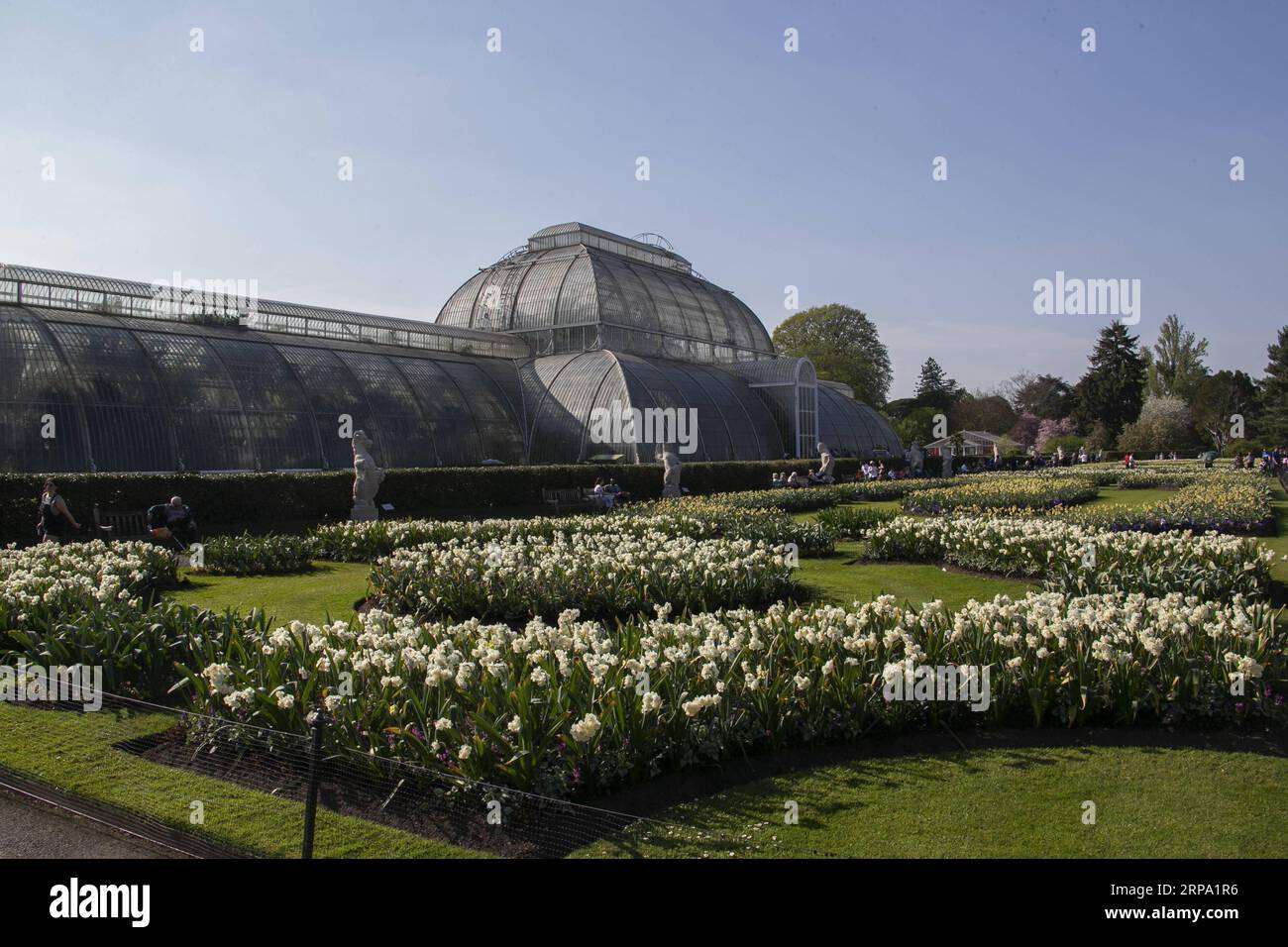 (190422) -- LONDRA, 22 aprile 2019 (Xinhua) -- foto scattata il 14 aprile 2019 mostra la Palm House dei Kew Gardens a Londra, capitale della Gran Bretagna. La storia dei Kew Gardens può essere fatta risalire al XVIII secolo. Nel 2003, i Kew Gardens sono stati ufficialmente iscritti come patrimonio dell'umanità dell'UNESCO. (Xinhua/Han Yan) BRITAIN-LONDON-KEW GARDENS PUBLICATIONxNOTxINxCHN Foto Stock