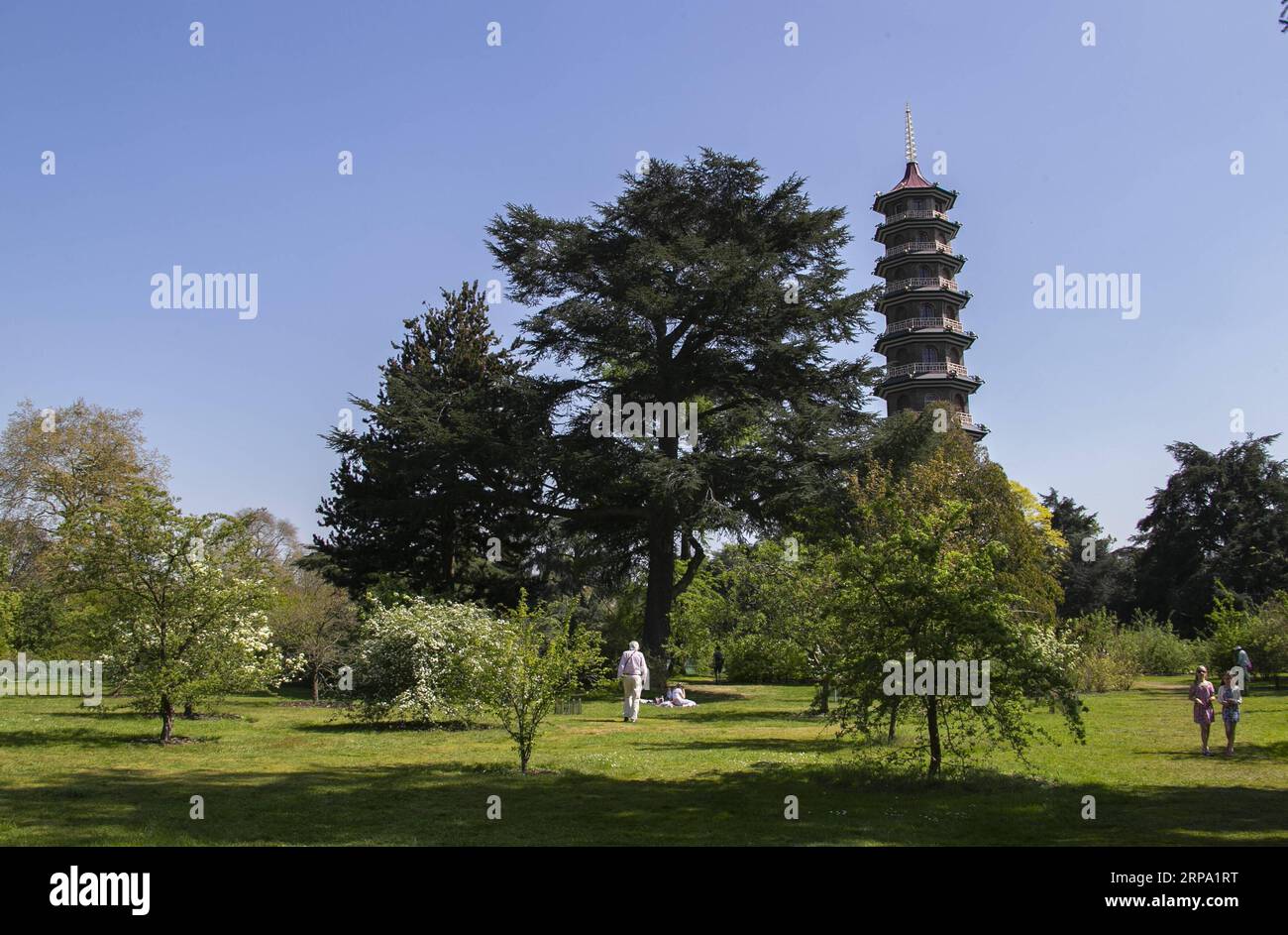 (190422) -- LONDRA, 22 aprile 2019 (Xinhua) -- foto scattata il 14 aprile 2019 mostra una pagoda ai Kew Gardens di Londra, capitale della Gran Bretagna. La storia dei Kew Gardens può essere fatta risalire al XVIII secolo. Nel 2003, i Kew Gardens sono stati ufficialmente iscritti come patrimonio dell'umanità dell'UNESCO. (Xinhua/Han Yan) BRITAIN-LONDON-KEW GARDENS PUBLICATIONxNOTxINxCHN Foto Stock