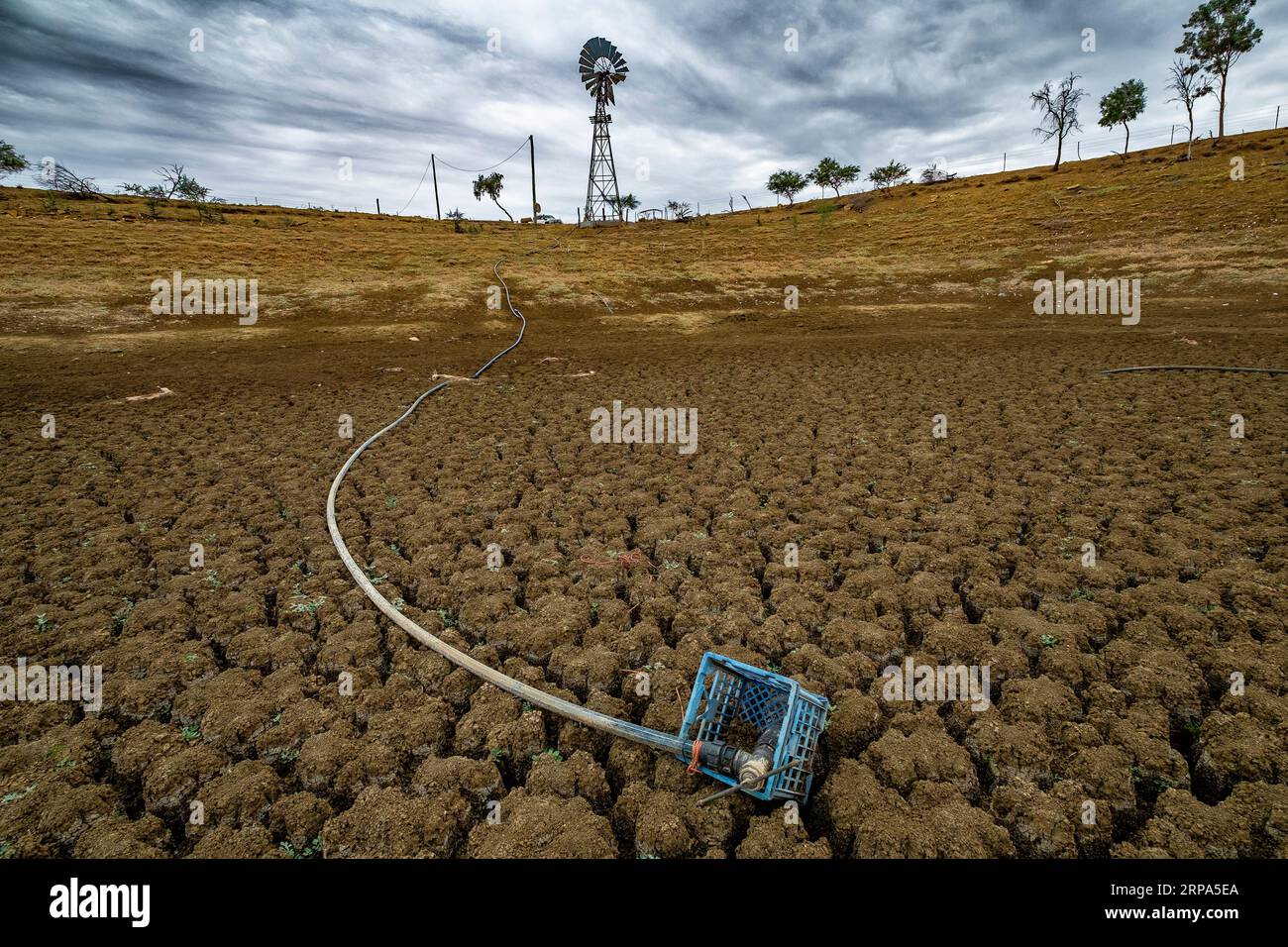 Una diga essiccata dalla siccità su una grande stazione di pecore nel Queensland, in Australia Foto Stock