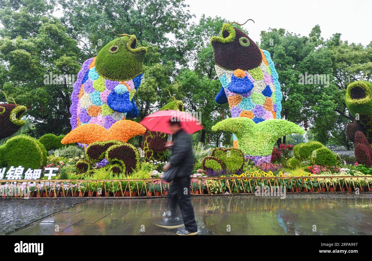 (190430) -- HANGZHOU, 30 aprile 2019 (Xinhua) -- i turisti visitano l'antica città di Longmen decorata con fiori nel distretto di Fuyang a Hangzhou, capitale della provincia di Zhejiang della Cina orientale, 30 aprile 2019. Una mostra a tema floreale si è tenuta nell'antica città per promuovere il turismo locale. (Xinhua/Xu Yu) CHINA-ZHEJIANG-HANGZHOU-ANCIENT TOWN-FLOWER EXHIBITION (CN) PUBLICATIONxNOTxINxCHN Foto Stock