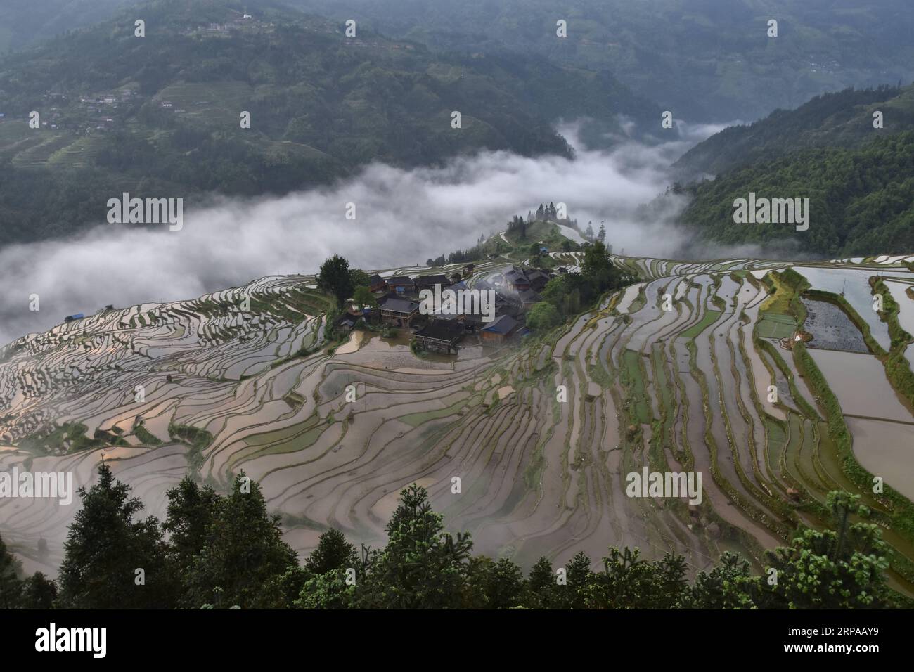 (190502) -- QIANDONGNAN, 2 maggio 2019 (Xinhua) -- foto scattata il 1° maggio 2019 mostra campi terrazzati nella città di Jiabang della contea di Congjiang, nella provincia di Guizhou nella Cina sud-occidentale. (Xinhua/Luo Jinglai) CHINA-GUIZHOU-TERRACED FIELDS (CN) PUBLICATIONxNOTxINxCHN Foto Stock