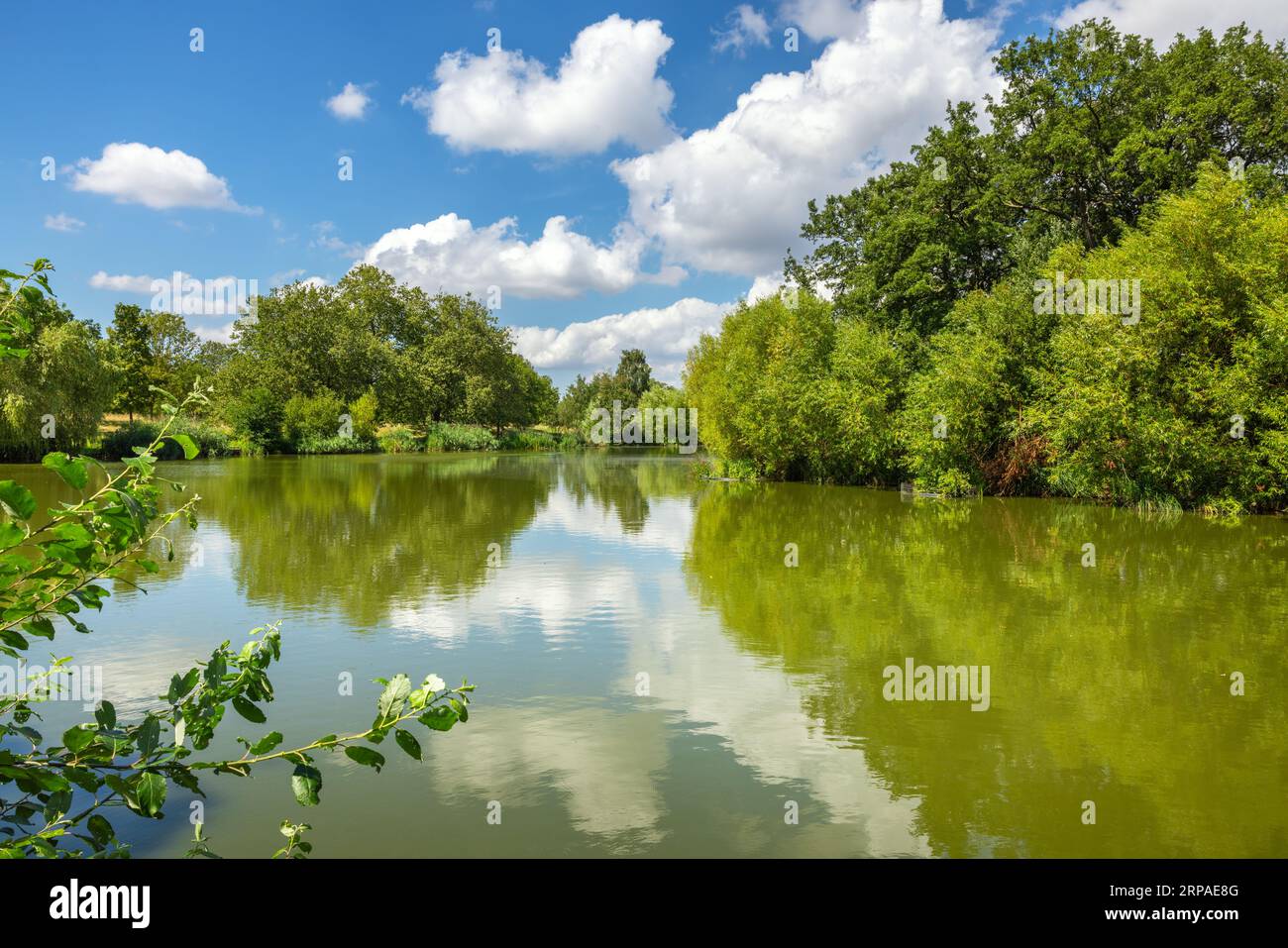 Lungomare di Mount Pond nel Clapham Common Park. Londra. Inghilterra, Regno Unito Foto Stock