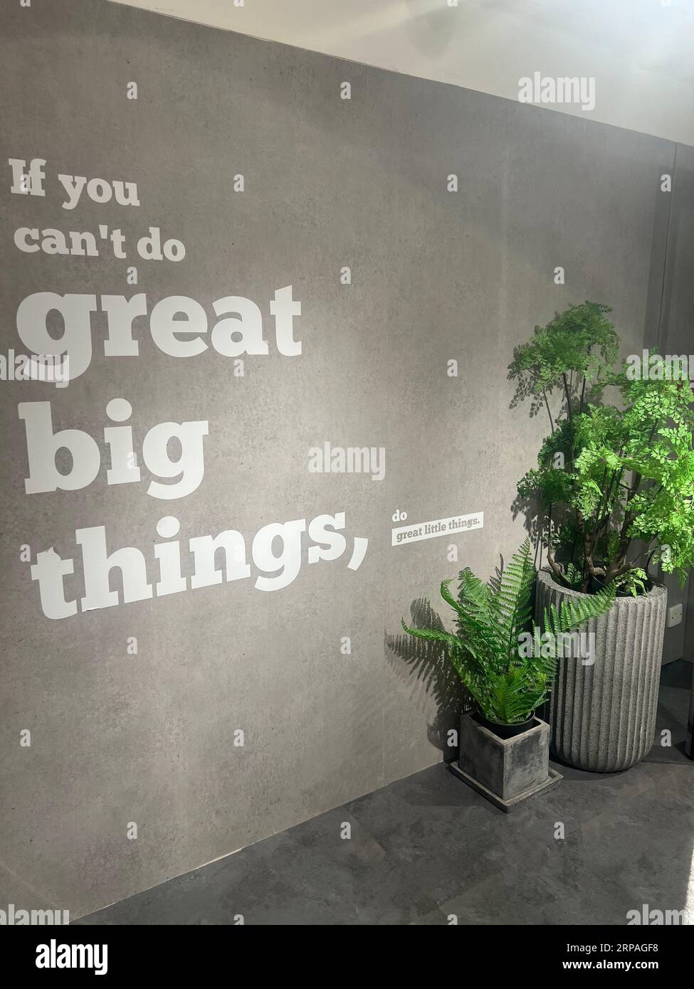 Un muro grigio con citazioni motivazionali e piante in vaso verde in un edificio Foto Stock