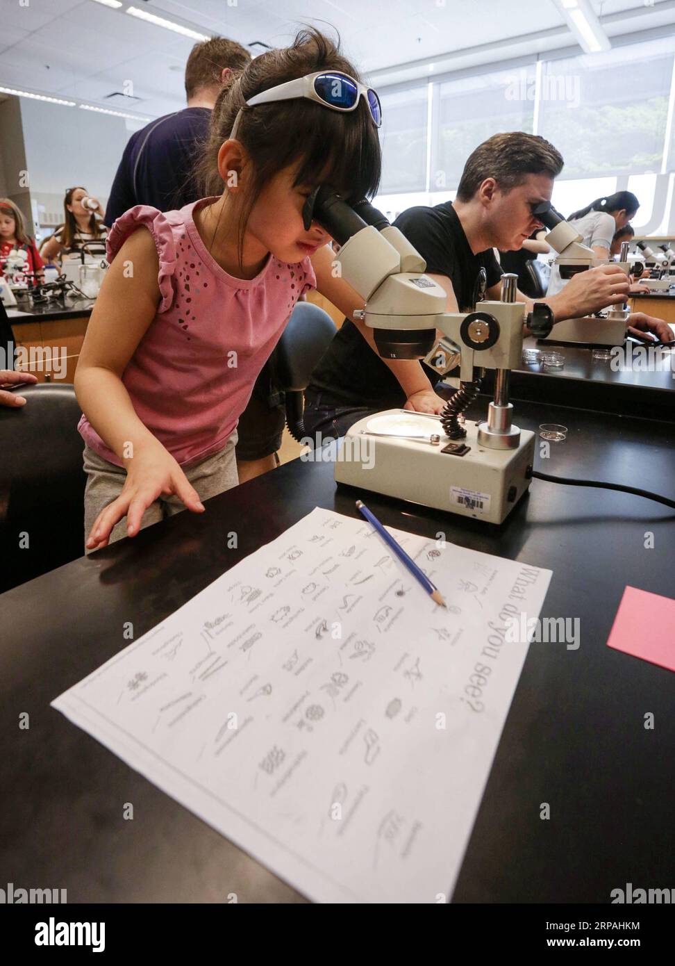 (190511) -- VANCOUVER, 11 maggio 2019 -- Un bambino cerca di identificare alcuni microrganismi con un microscopio durante l'evento Science Rendezvous al campus della University of British Columbia a Vancouver, Canada, 11 maggio 2019. Con oltre 300 eventi in 30 città, il Science Rendezvous è un festival annuale che si tiene in tutto il Canada per mostrare l'arte nella scienza. CANADA-VANCOUVER-SCIENCE RENDEZVOUS LiangxSen PUBLICATIONxNOTxINxCHN Foto Stock