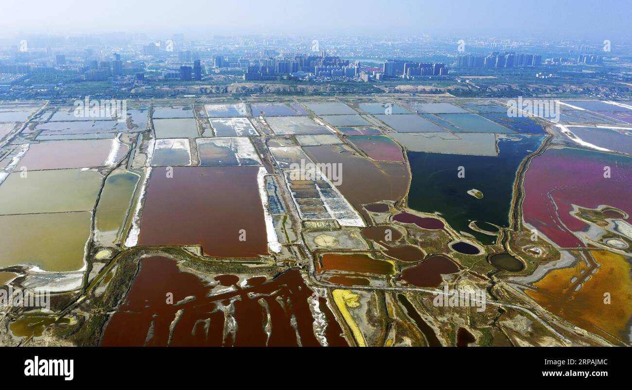 (190513) -- PECHINO, 13 maggio 2019 (Xinhua) -- foto aerea scattata il 23 aprile 2019 mostra lo scenario del lago salato nella città di Yuncheng, nella provincia dello Shanxi nella Cina settentrionale. L'evento a tema dello Shanxi Day, che si è tenuto nell'ambito della mostra internazionale di orticoltura di Pechino, ha avuto inizio a Pechino il 12 maggio. Lo Shanxi Garden mette in mostra il suo impegno nell'ecologia e nel rimboschimento, nonché il suo concetto di sviluppo verde all'expo in corso. Non facendo più affidamento principalmente sulla sua industria carboniera per la crescita, Shanxi si è impegnata a sviluppare energia pulita e altre industrie emergenti per trovare un equilibrio tra e Foto Stock