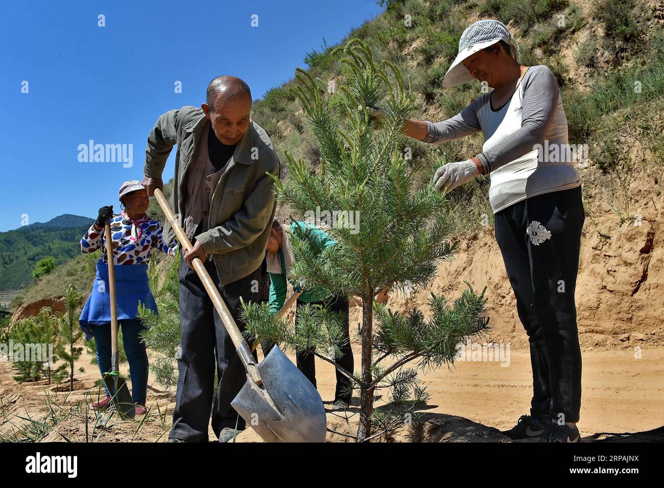 (190513) -- PECHINO, 13 maggio 2019 (Xinhua) -- abitanti del villaggio di Huili della contea di Lanxian piantano alberi sul monte Lyuliang, nella provincia dello Shanxi della Cina settentrionale, 26 maggio 2017. L'evento a tema dello Shanxi Day, che si è tenuto nell'ambito della mostra internazionale di orticoltura di Pechino, ha avuto inizio a Pechino il 12 maggio. Lo Shanxi Garden mette in mostra il suo impegno nell'ecologia e nel rimboschimento, nonché il suo concetto di sviluppo verde all'expo in corso. Non facendo più affidamento principalmente sulla sua industria carboniera per la crescita, Shanxi si è impegnata a sviluppare energia pulita e altre industrie emergenti per trovare un equilibrio Foto Stock