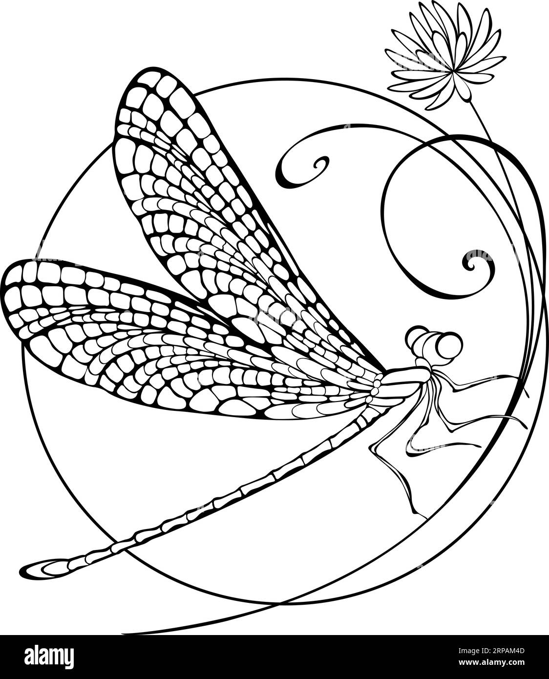Seduto in cerchio su un sottile fiore selvatico, disegnato artisticamente e sagomato libellula con ali dettagliate su sfondo bianco. Decorazione. Illustrazione Vettoriale