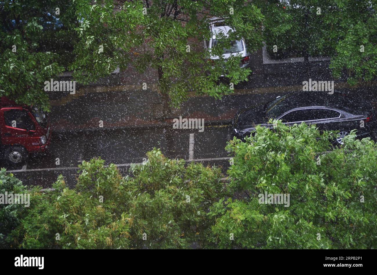 (190526) -- TIANJIN, 26 maggio 2019 (Xinhua) -- la foto scattata il 26 maggio 2019 mostra una vista del centro sotto la pioggia a Tianjin, nel nord della Cina. Una pioggia ha colpito la città domenica. (Xinhua/Shi Songyu) CHINA-TIANJIN-RAININFALL(CN) PUBLICATIONxNOTxINxCHN Foto Stock