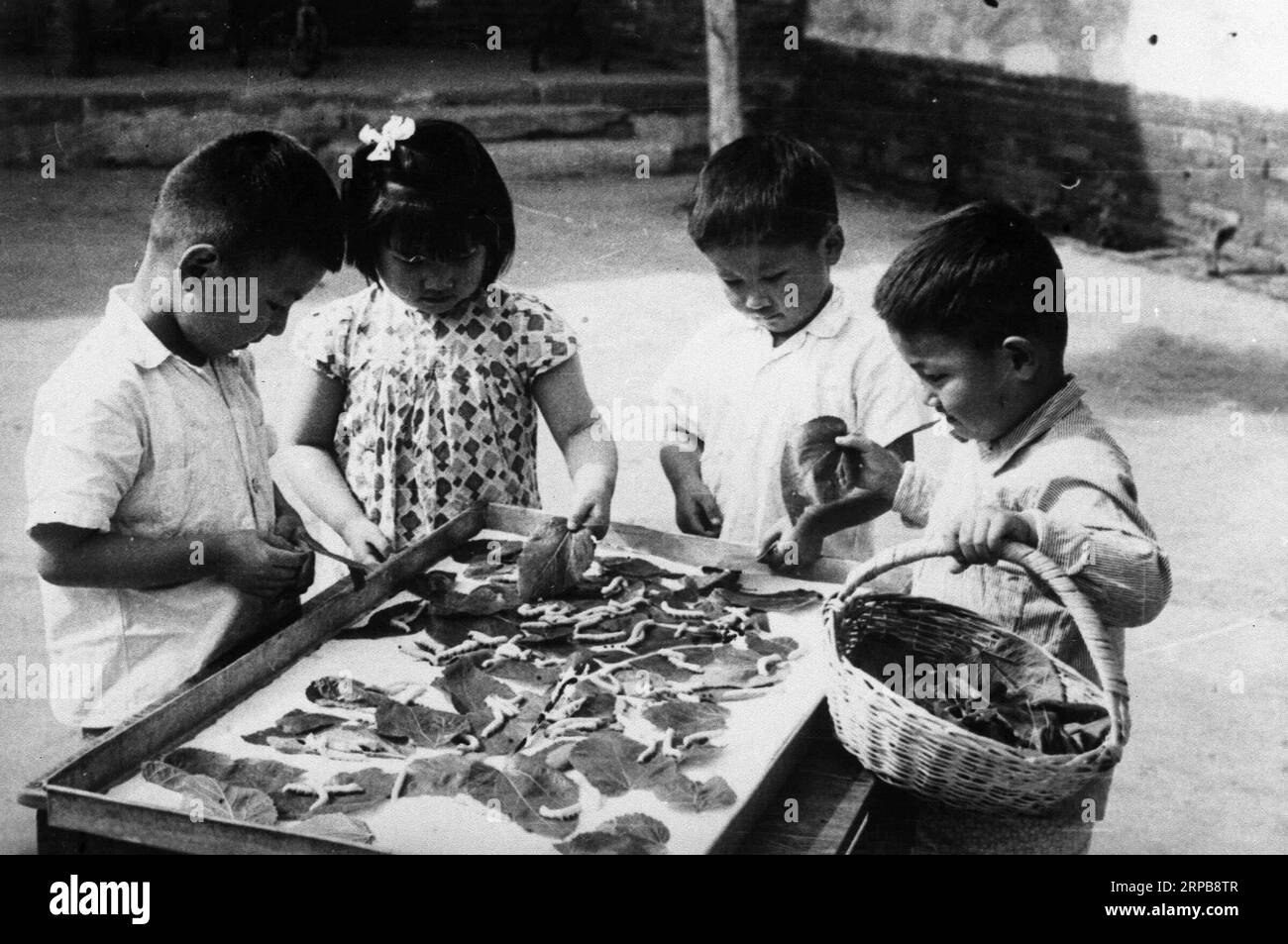 (190601) -- PECHINO, 1 giugno 2019 () -- in questa foto scattata nel 1952, i bambini di un asilo nido si prendono cura dei bachi da seta a Pechino, capitale della Cina. La Cina ha celebrato la giornata internazionale dei bambini il 1° giugno 2019. Queste foto registrano come i bambini cinesi passassero la loro infanzia in asili e asili decine di anni fa. () (MOMENTS FOREVER) CHINA-CHILDREN'S DAY-CHILDREN'S CHILDREN'S CHILDREN'S DAY-CHILDREN'S CHILDREN'S CHILDREN'S CHILDREN'S CHILDREN'S CHILDREN (CN Foto Stock