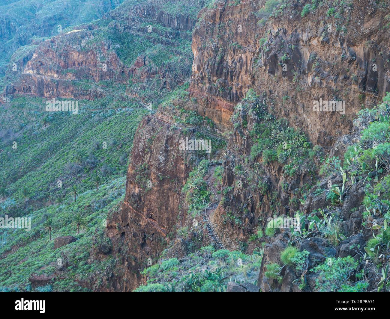 Paesaggio panoramico lungo il sentiero escursionistico attraverso la gola di Barranco de Guarimiar. Verdi pendii del canyon di montagna con palme e succulenta vegetazione. La Gomera Foto Stock