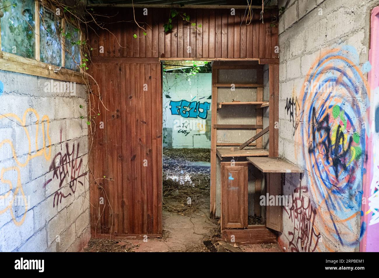 Interno di una casa abbandonata con cartelli su mobili in legno e invasione della natura. Foto Stock