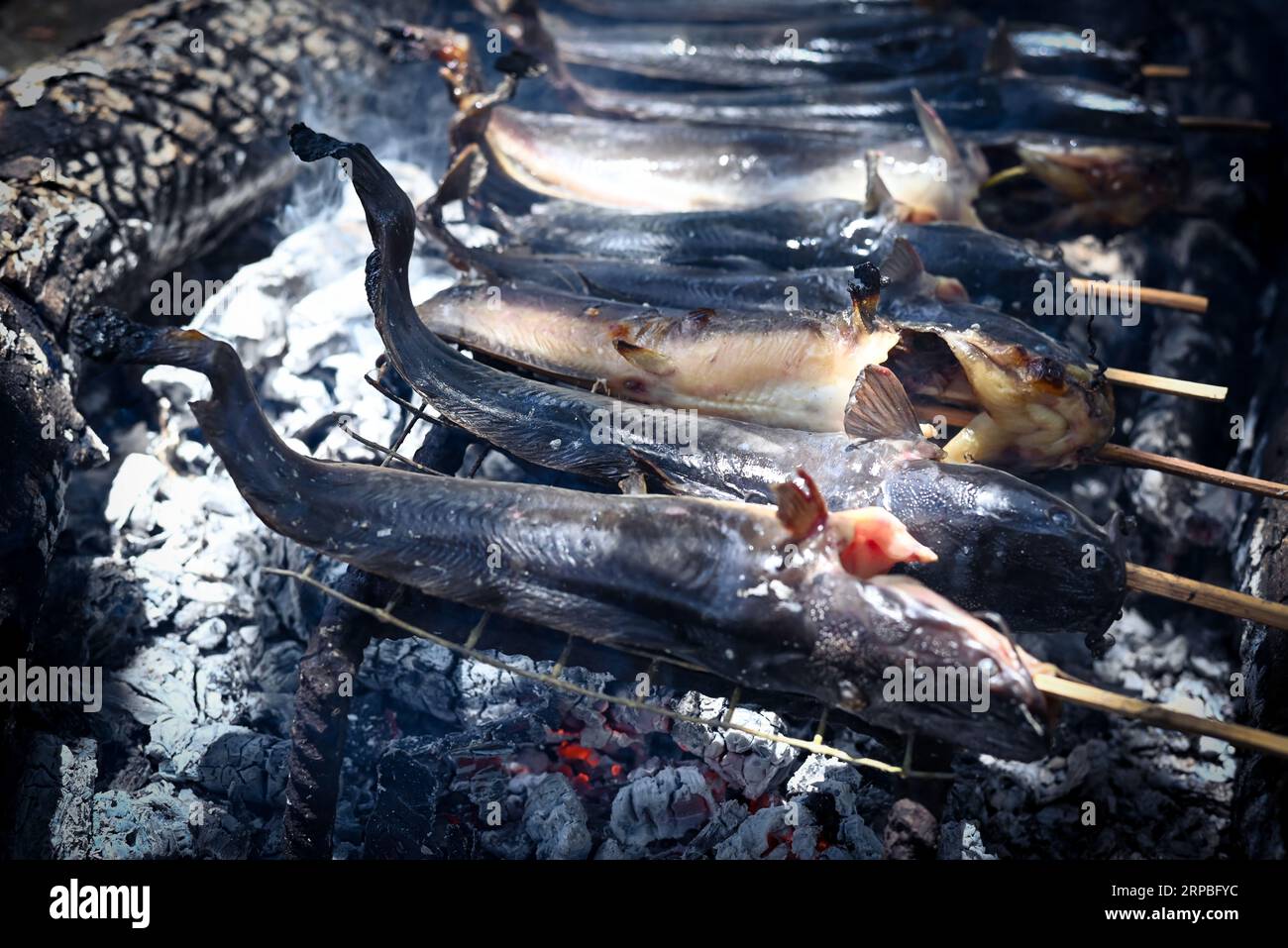 Pesce gatto alla griglia o inihaw na hito o pantat Foto Stock