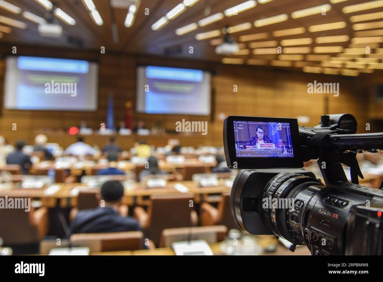 (190612) -- VIENNA, 12 giugno 2019 (Xinhua) -- i partecipanti sono visti a una conferenza per annunciare gli esperimenti selezionati a bordo della stazione spaziale cinese (CSS) tenutasi a Vienna, in Austria, 12 giugno 2019. Nove esperimenti scientifici provenienti da tutto il mondo sono stati accettati per essere condotti a bordo della stazione spaziale cinese (CSS), le Nazioni Unite e la Cina annunciati qui mercoledì. I sei esperimenti pienamente e tre condizionatamente accettati coinvolgono 23 entità di 17 paesi, che emergono da 42 proposte presentate da 27 paesi. Il CSS dovrebbe essere operativo intorno al 2022. (Xinhua/G Foto Stock