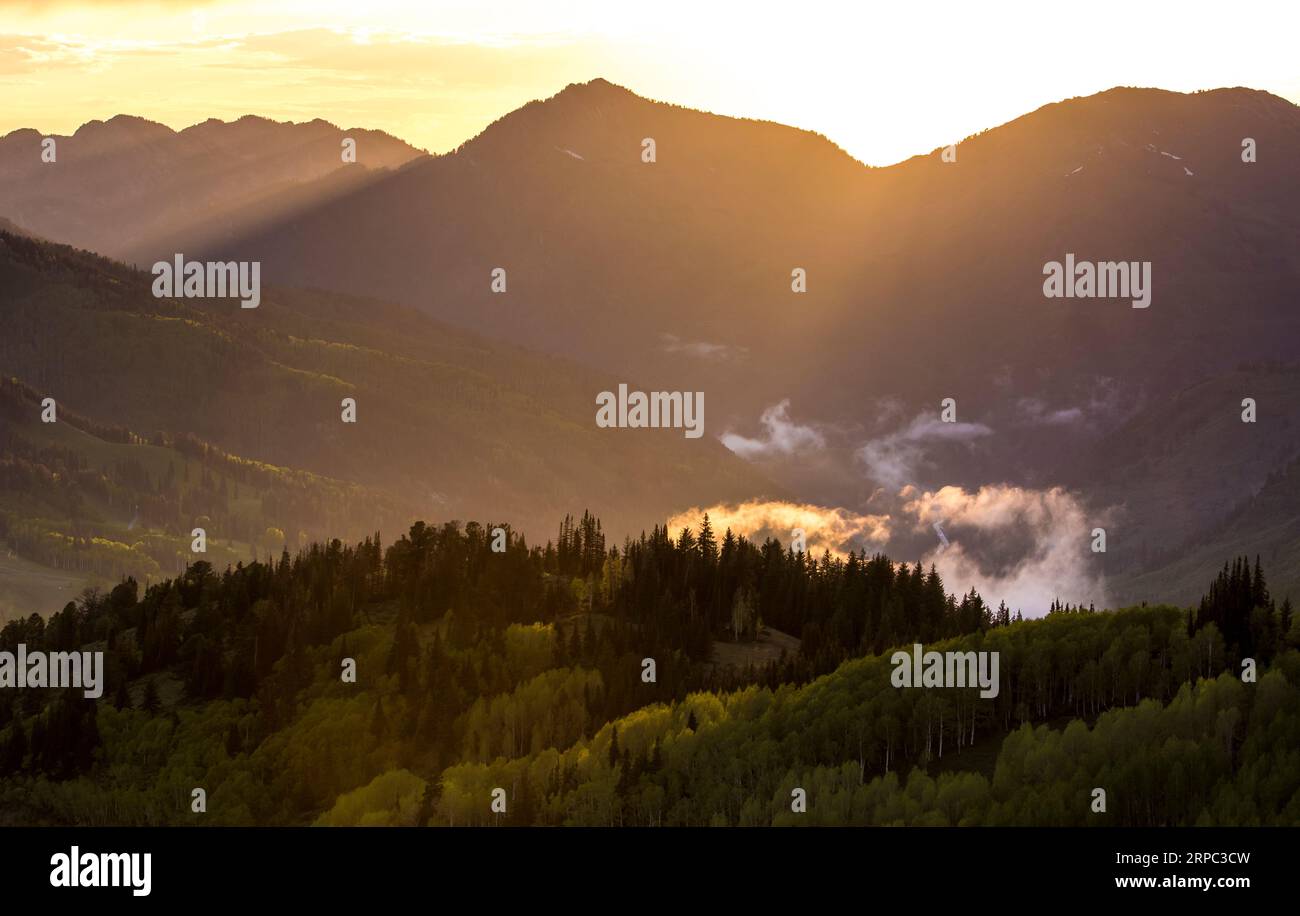 Dopo una tempesta nel Big Cottonwood Canyon Foto Stock