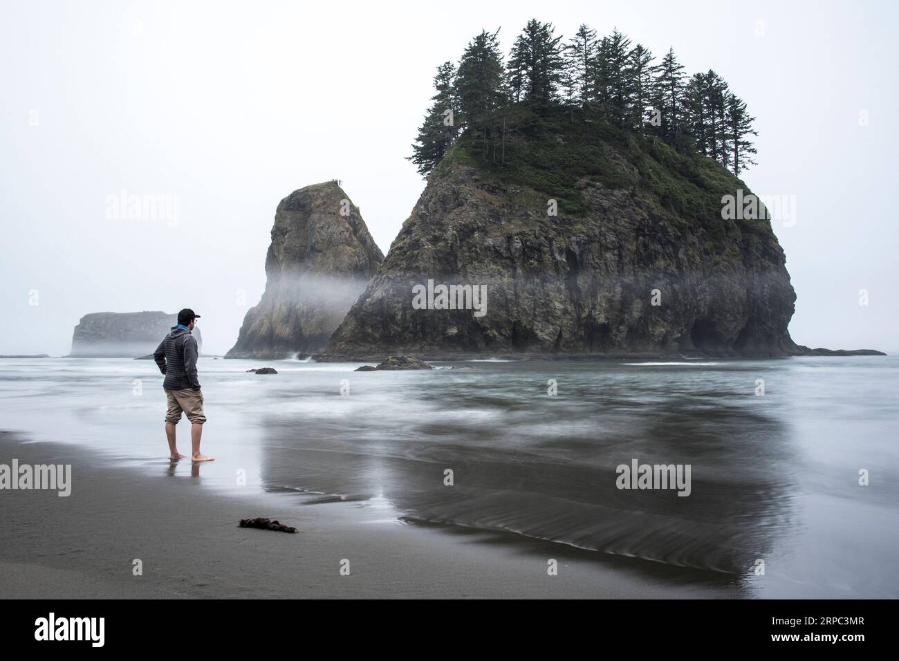 Uomo sulla spiaggia che guarda la piccola isola rocciosa con gli alberi, Second Beach, la Push, Washington State, USA Foto Stock