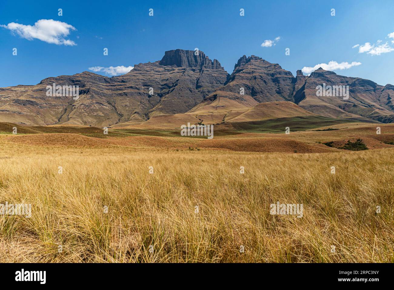 Paesaggio montano a Drakensberg, Sudafrica Foto Stock