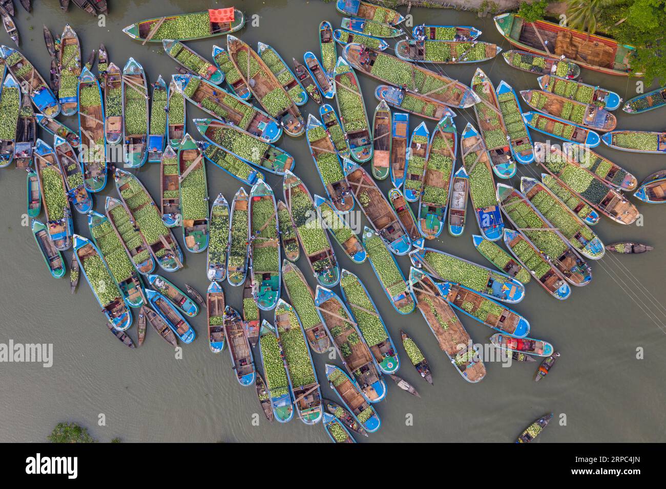 Gli agricoltori vendono cocomeri agli intermediari in un mercato galleggiante bisettimanale su un fiume, nel distretto di Barisal, Bangladesh. Foto Stock