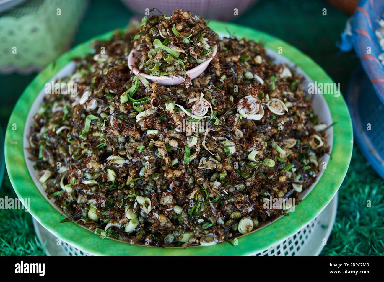 Mucchio di uova di formica rossa e larve di formica rossa in vendita sul mercato rurale Foto Stock