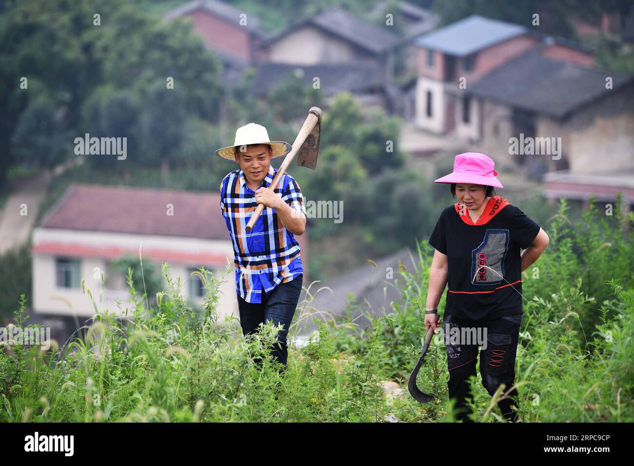 (190628) -- CHONGQING, 28 giugno 2019 -- Liu Yi (L) e sua moglie Lu Kai camminano verso una base di coltivazione di pepe nel villaggio di Yulong della Nanping Township nel distretto di Nanchuan, a sud-ovest della Cina, Chongqing, 27 giugno 2019. Nonostante abbia perso il braccio destro in un incidente all'età di nove anni, il 44enne Liu Yi non ha mai abbassato la testa verso il destino. Dopo la laurea in una scuola professionale nel 1994, ha provato molti lavori come lavastoviglie, commerciante di frutta e minatore di carbone. Dal 2010, ha deciso di avviare la sua attività nella sua città natale organizzando gli abitanti del villaggio per piantare radici di bambù e allevare polli. Il suo Foto Stock