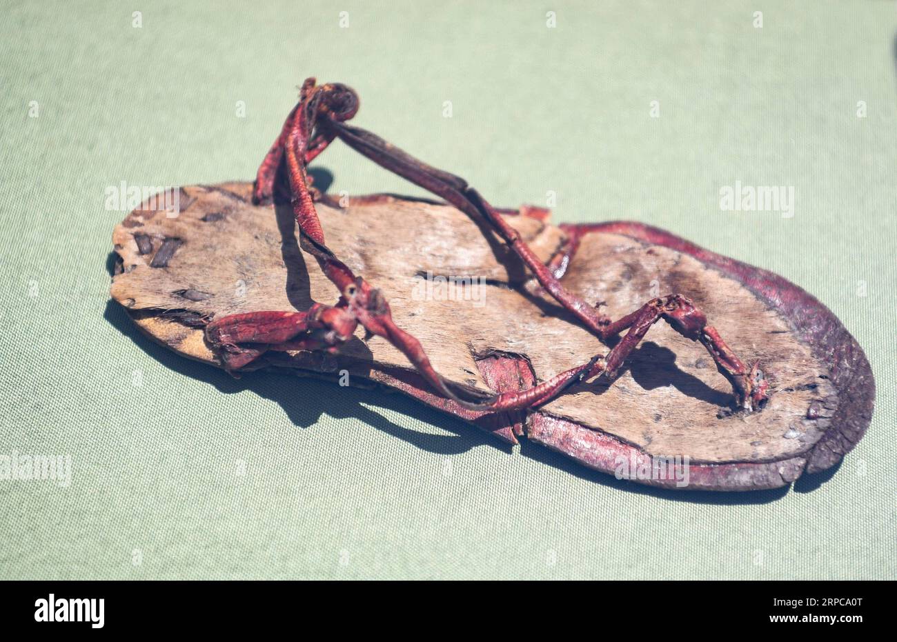 (190629) -- FAIYUM, 29 giugno 2019 -- foto scattata il 28 giugno 2019 mostra una reliquia rinvenuta da una tomba risalente all'epoca del Medio Regno che si trova a circa 500 metri dalla piramide di Senusret II, il faraone della XII dinastia, a Faiyum, in Egitto. Il ministro egiziano delle antichità Khaled al-Anany ha inaugurato venerdì la piramide di Senusret II, il faraone della XII dinastia, segnando la sua apertura ai visitatori per la prima volta. Conosciuto come la piramide di el-Lahun, il cimitero reale risale al periodo compreso tra il 1897 a.C. e il 1878 a.C. e si trova nel Governatorato di Faiyum, 100 km a sud-ovest della capitale Foto Stock