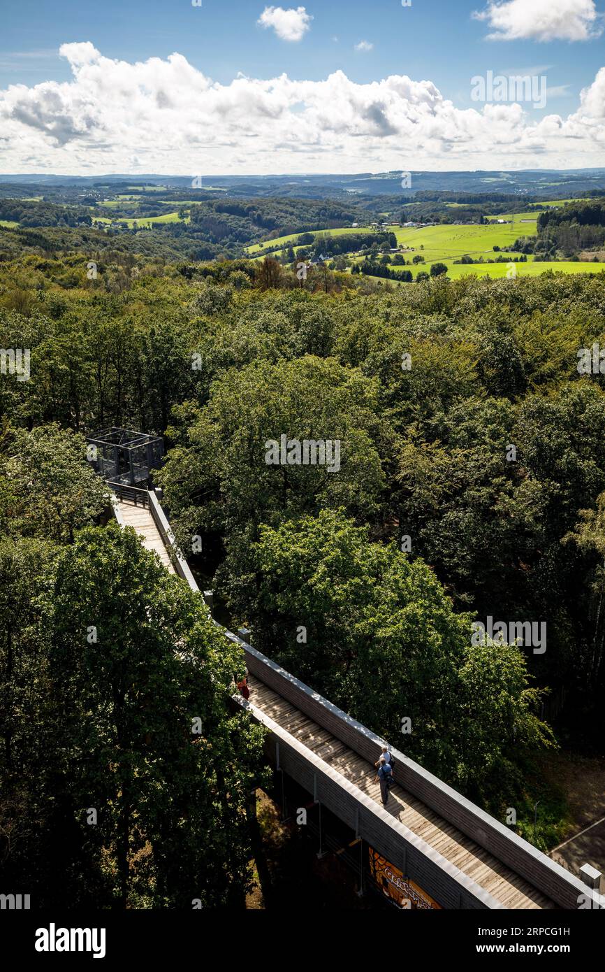 I visitatori della passeggiata sulla cima degli alberi al parco avventura Panarbora Nature Adventure Park a Waldbroel, Bergisches Land, Renania settentrionale-Vestfalia, Germania. Besucher auf dem Foto Stock