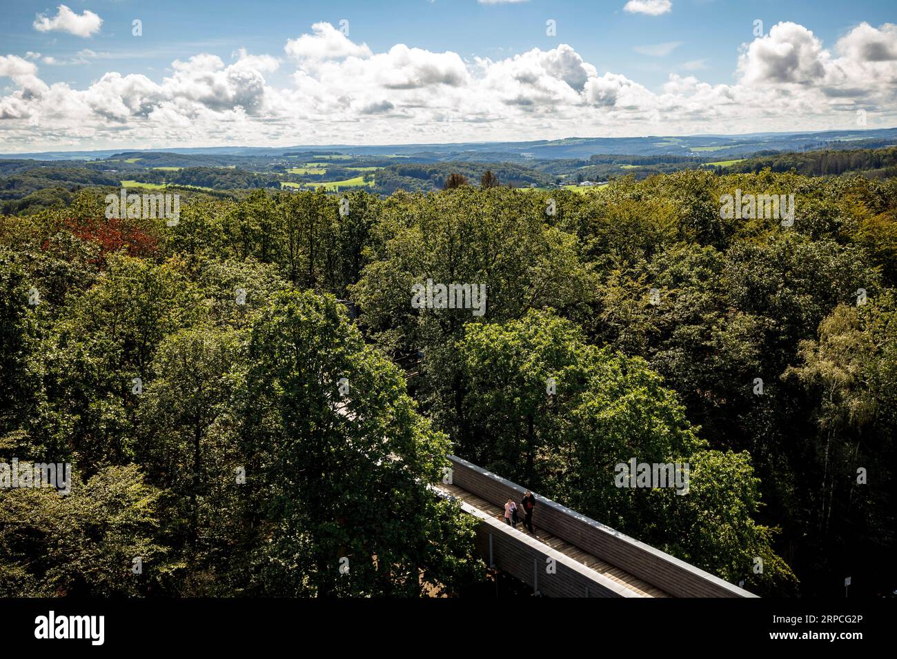 I visitatori della passeggiata sulla cima degli alberi al parco avventura Panarbora Nature Adventure Park a Waldbroel, Bergisches Land, Renania settentrionale-Vestfalia, Germania. Besucher auf dem Foto Stock