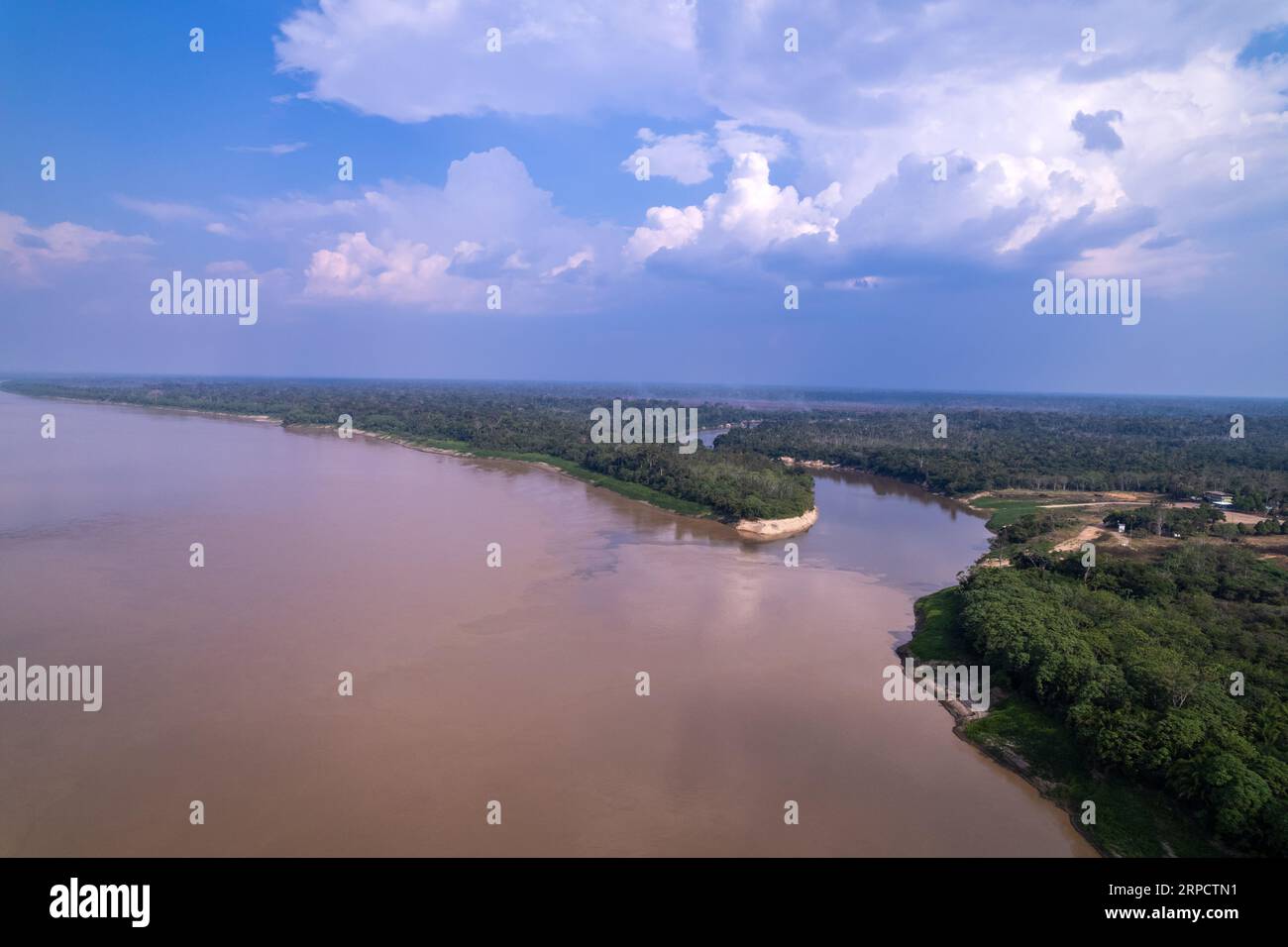 Splendida foresta pluviale amazzonica vista aerea di Madeira e del fiume Abuna al confine tra Brasile e Bolivia in una soleggiata giornata estiva. Ecologia Foto Stock