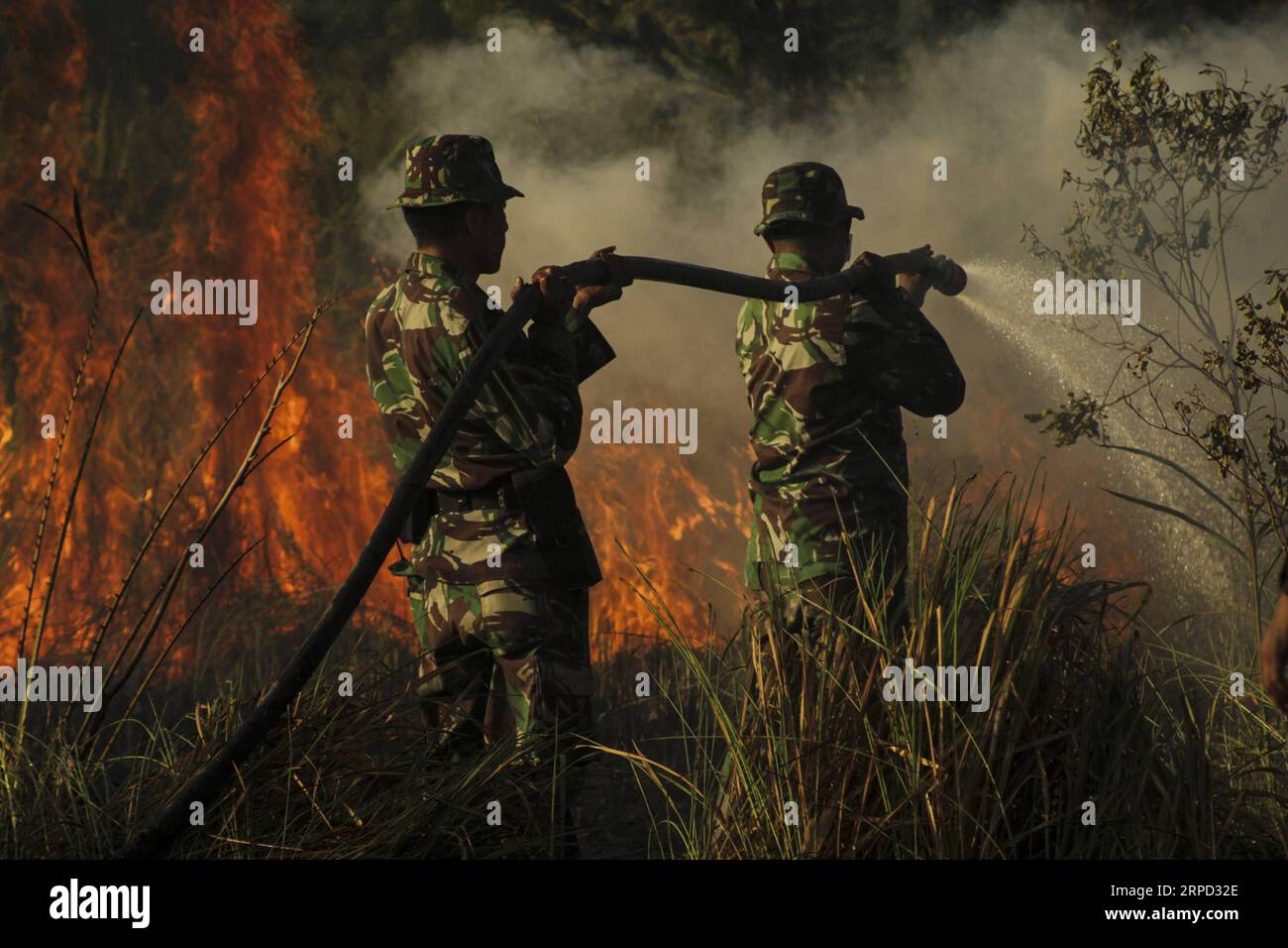 (190720) -- RIAU, 20 luglio 2019 -- i soldati indonesiani cercano di estinguere il fuoco delle torbiere a Payung Sekaki, Pekanbaru, Riau, Indonesia, 20 luglio 2019. una squadra congiunta di vigili del fuoco locali, polizia e ufficiali militari ha cercato di estinguere gli incendi boschivi diversi giorni fa. INDONESIA-RIAU-PEATLAND FIRE HadlyxVavaldi PUBLICATIONxNOTxINxCHN Foto Stock