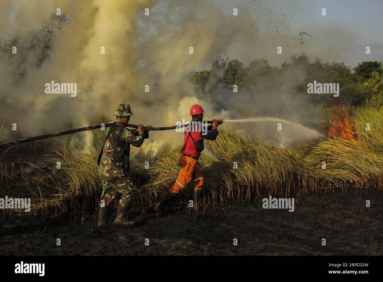 (190720) -- RIAU, 20 luglio 2019 -- un soldato indonesiano e un vigile del fuoco tentano di estinguere il fuoco delle torbiere a Payung Sekaki, Pekanbaru, Riau, Indonesia, 20 luglio 2019. una squadra congiunta di vigili del fuoco locali, polizia e ufficiali militari ha cercato di estinguere gli incendi boschivi diversi giorni fa. INDONESIA-RIAU-PEATLAND FIRE HadlyxVavaldi PUBLICATIONxNOTxINxCHN Foto Stock