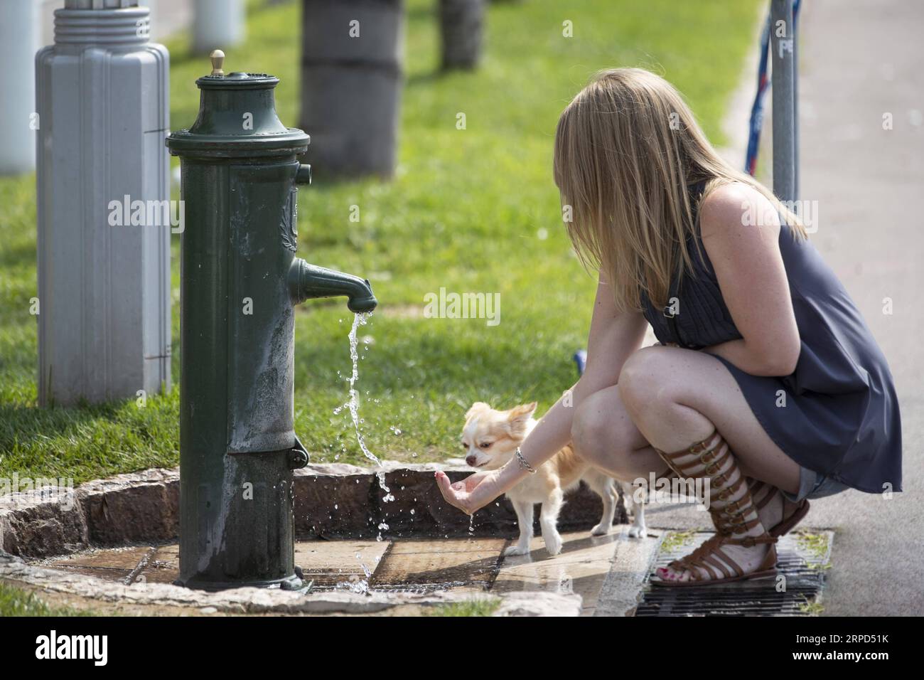 (190723) -- PARIGI, 23 luglio 2019 -- Una ragazza dà l'acqua al suo cane a Nizza, nel sud della Francia, 22 luglio 2019. Una nuova ondata di calore ritorna in gran parte della Francia questa settimana. ) FRANCE-NICE-HEAT WAVE Syspeo.z PUBLICATIONxNOTxINxCHN Foto Stock