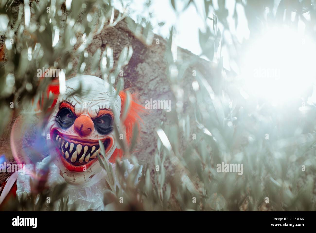 primo piano di un clown malvagio che guarda l'osservatore con un sorriso raccapricciante attraverso i rami di un albero, di fronte a una vecchia casa Foto Stock