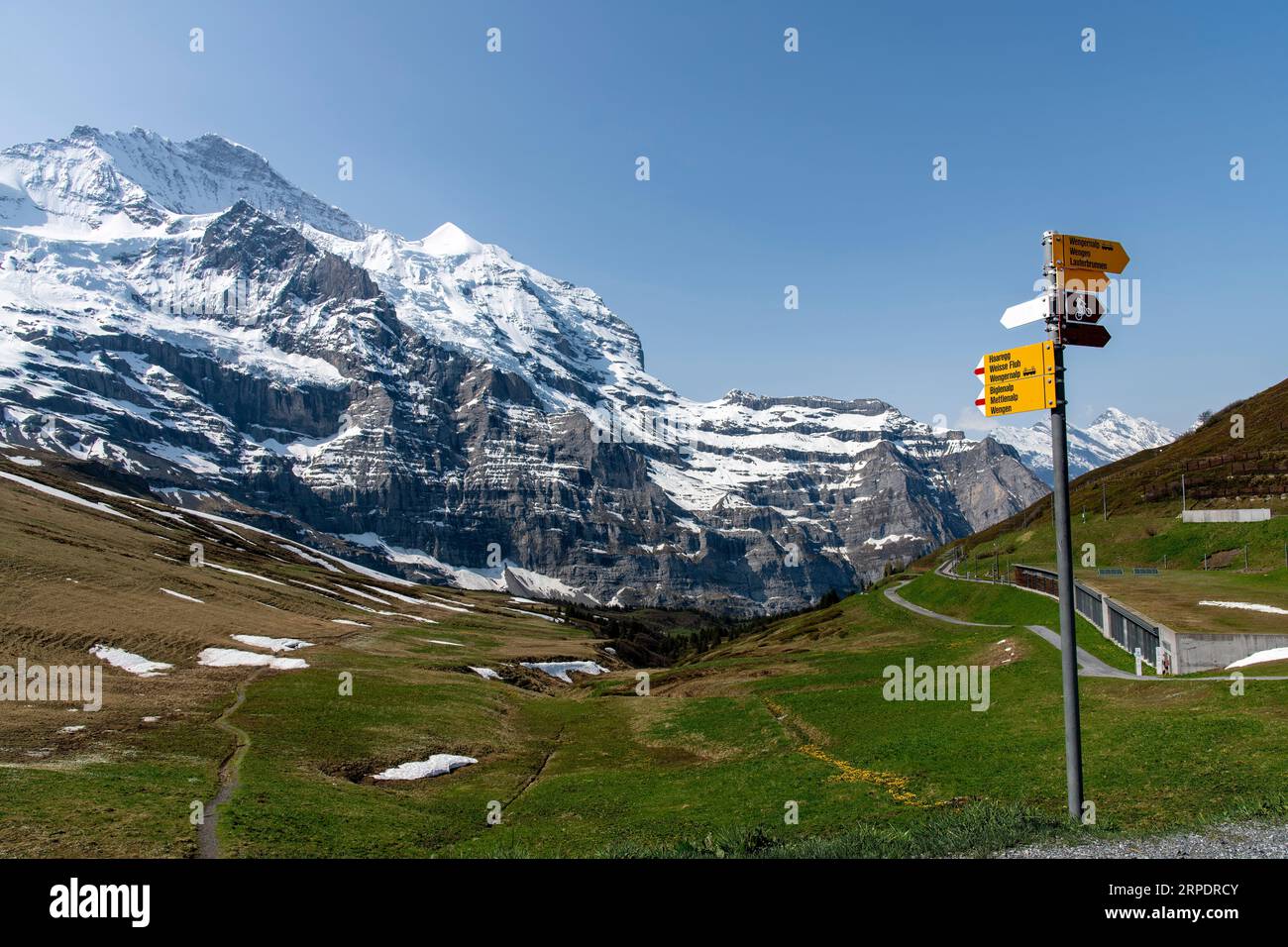 Vista sui prati del passo alpino Kleine Scheidegg in Svizzera con vista sullo Jungfraujoch innevato nelle Alpi Bernesi, con indicazione in fro Foto Stock