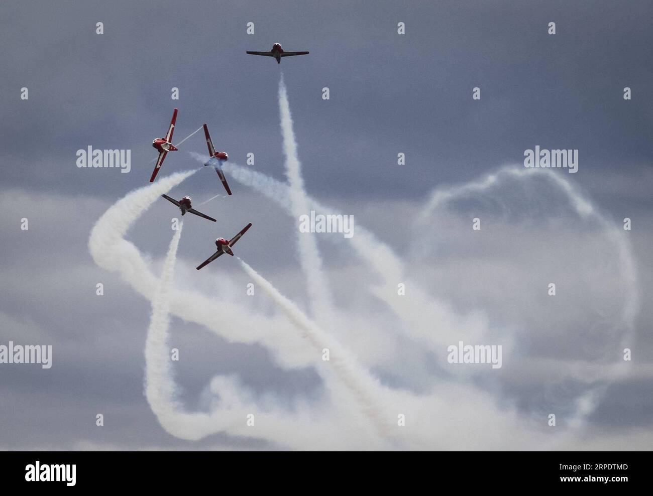 (190812) -- ABBOTSFORD, 12 agosto 2019 -- le Canadian Forces Snowbirds eseguono acrobazie durante il 57 ° annuale Abbotsford International Airshow ad Abbotsford, Canada, 11 agosto 2019. L'airshow ha preso il volo per la prima volta nel 1962, lanciato da un club di volo locale per attirare l'attenzione e gli affari all'aeroporto della città. In seguito è diventato uno dei più importanti spettacoli di aviazione in Nord America, attirando piloti e aerei di alto livello provenienti da tutto il Canada, gli Stati Uniti e l'Europa). CANADA-ABBOTSFORD-INT L AIRSHOW LiangxSen PUBLICATIONxNOTxINxCHN Foto Stock